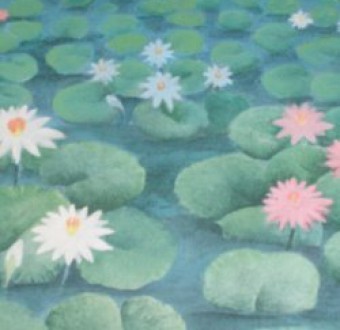 news photo 95 dscf0923